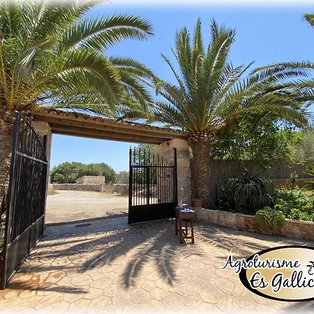 Agroturismo Es Gallicant Campos  Εξωτερικό φωτογραφία