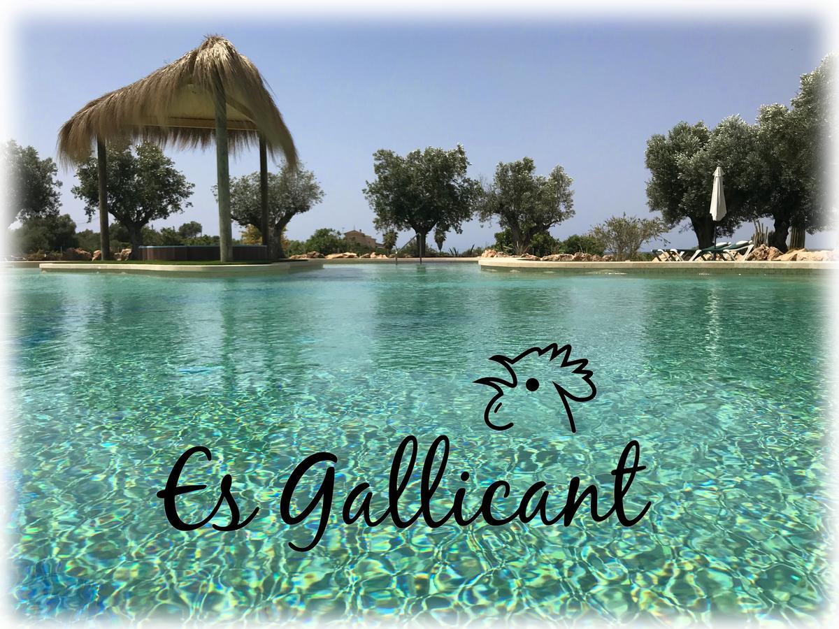 Agroturismo Es Gallicant Campos  Εξωτερικό φωτογραφία